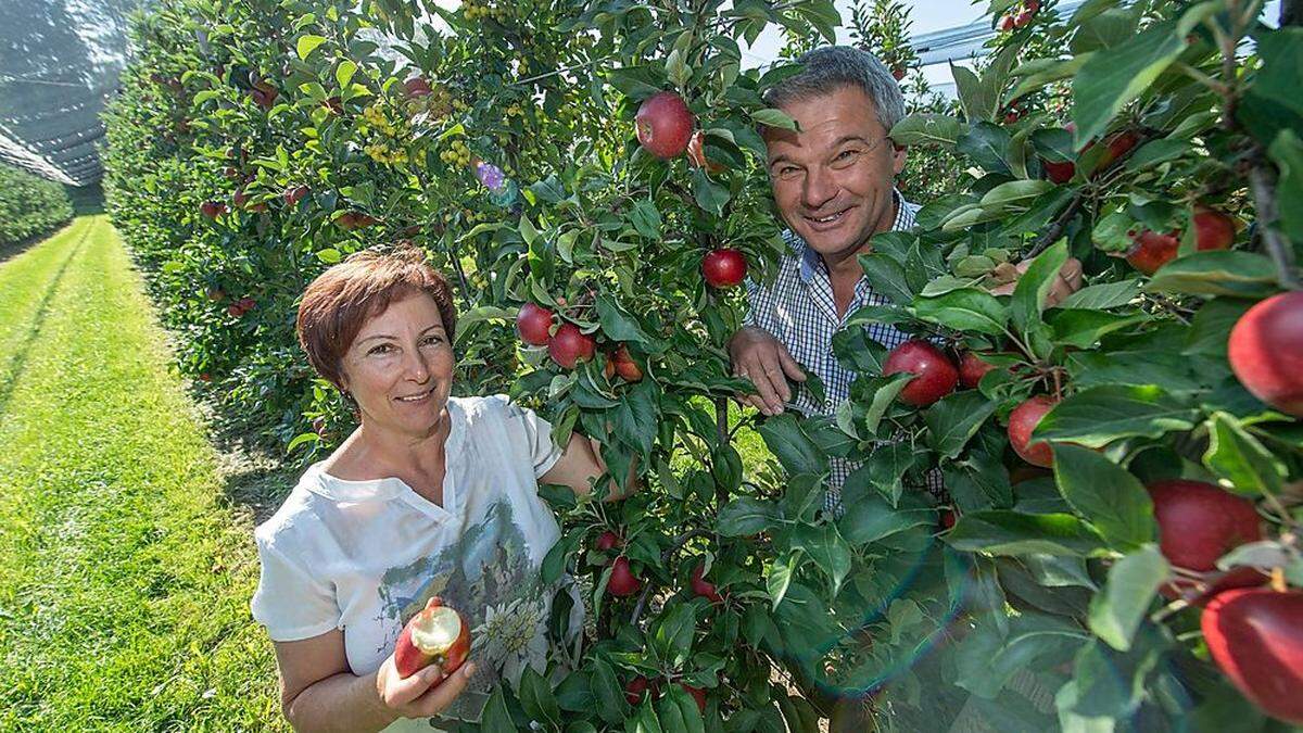 Elisabeth und Josef Knaller aus Puch starten mit der Ernte 