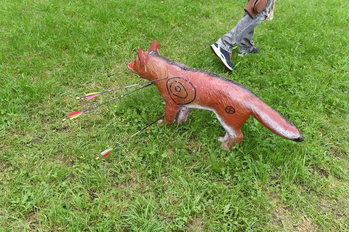 Das Trefferbild auf den roten Fuchs.