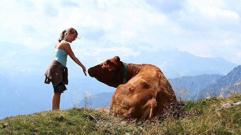Die 2200 Bauernhöfe in Österreich  hoffen für den Sommer auf eine gute Buchungslage