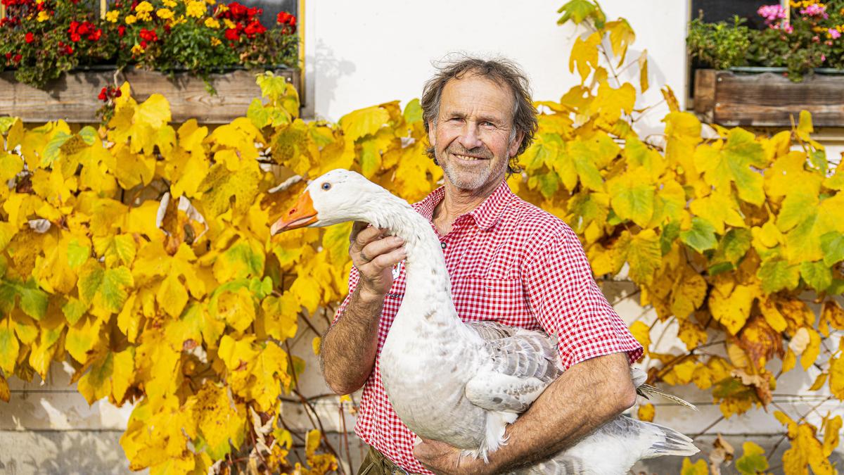 Das Wohl seiner Tiere steht für Biobauern Christian Granitzer an erster Stelle