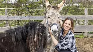 Am Reiterhof von Nicole haben die Vierbeiner das Sagen
