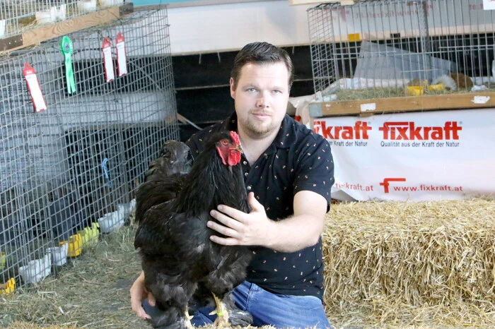 Der Kleinzuchtverein „K 6 St. Veit“ lud an drei Tagen unter Landeszuchtwart und Preisrichter Markus Rainer zur „1. Glantaler Kaninchen-Jungtierschau mit angeschlossenem 12. Österreich-Championat für Rassemeerschweinchen“.