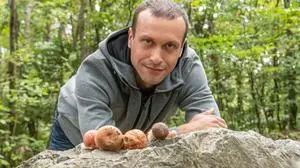 Mykologe Gernot Friebes 