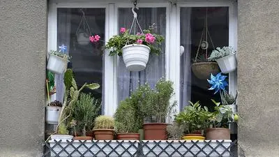 APA20123102-2_04092014 - WIEN - ÖSTERREICH: THEMENBILD - Illustration zum Thema Miete / Wohnungen / Wohnbau / Mietpreise / Eigentum / Immobilien. Im Bild: Ein mit unterschiedlichsten Pflanzen geschmückter Balkon einer Wohnhausanlage in Wien. (ARCHIVBILD VOM 16.04.2014) FOTO: APA/HELMUT FOHRINGER