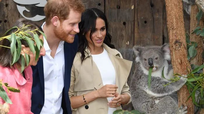 Das ist Ruby. Die Koalabärin aus dem Zoo von Sydney ist kürzlich Mutter geworden, ihr Nachwuchs hat den Namen Meghan erhalten. Und schon stellten sich prominente Gratulanten ein.