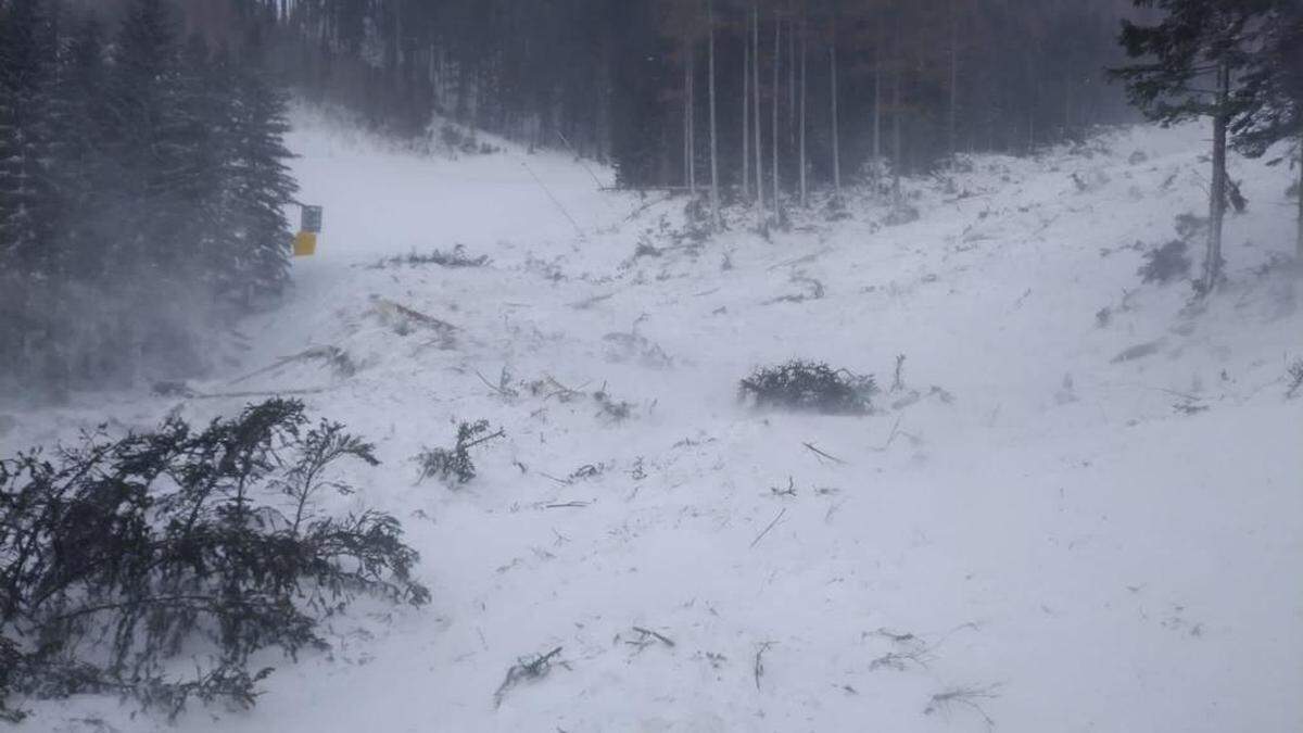 Wegen der verschütteten Bäume können die Aufräumarbeiten erst nach der Schneeschmelze erfolgen