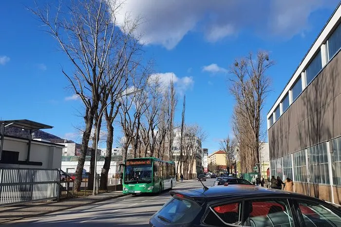 ... bleiben die Bäume laut den Plänen der Stadtbaudirektion erhalten wie sie sind.