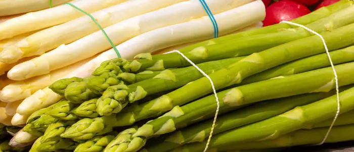 Bild zeigt weißen und grünen Spargel