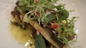 Saiblingsfilet in Mandelbutter mit geschmortem Topinambur, Spitzkraut, Junglauch in einer Soja-Wasabi-Vinaigrette