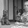 Madame d'Ora mit ihren Hunden in Frohnleiten