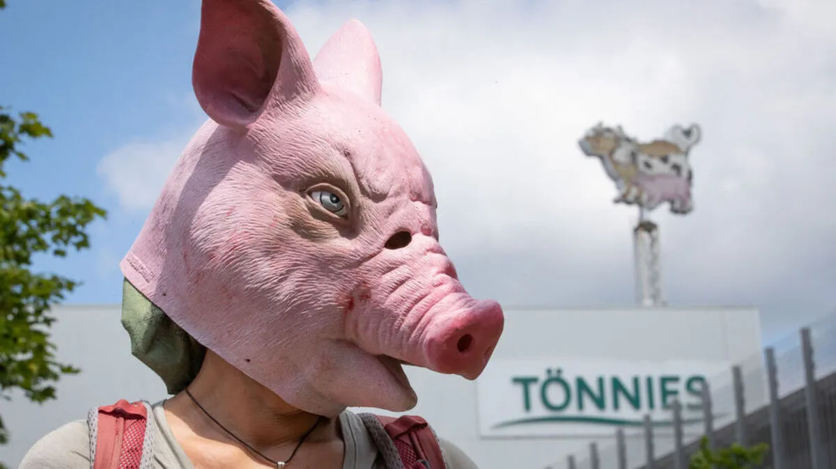 Infektionswelle bei Fleischverarbeiter Tönnies