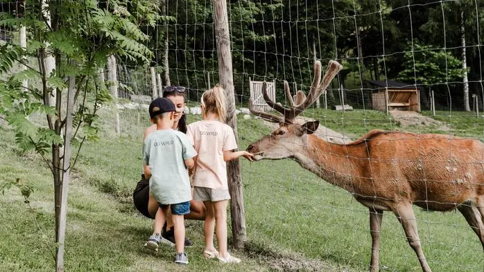 Auch größeren Wildtieren kann man hier ganz nahe kommen