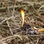 Die besondere Brandgefahr im Lavanttal ist nicht mehr gegeben