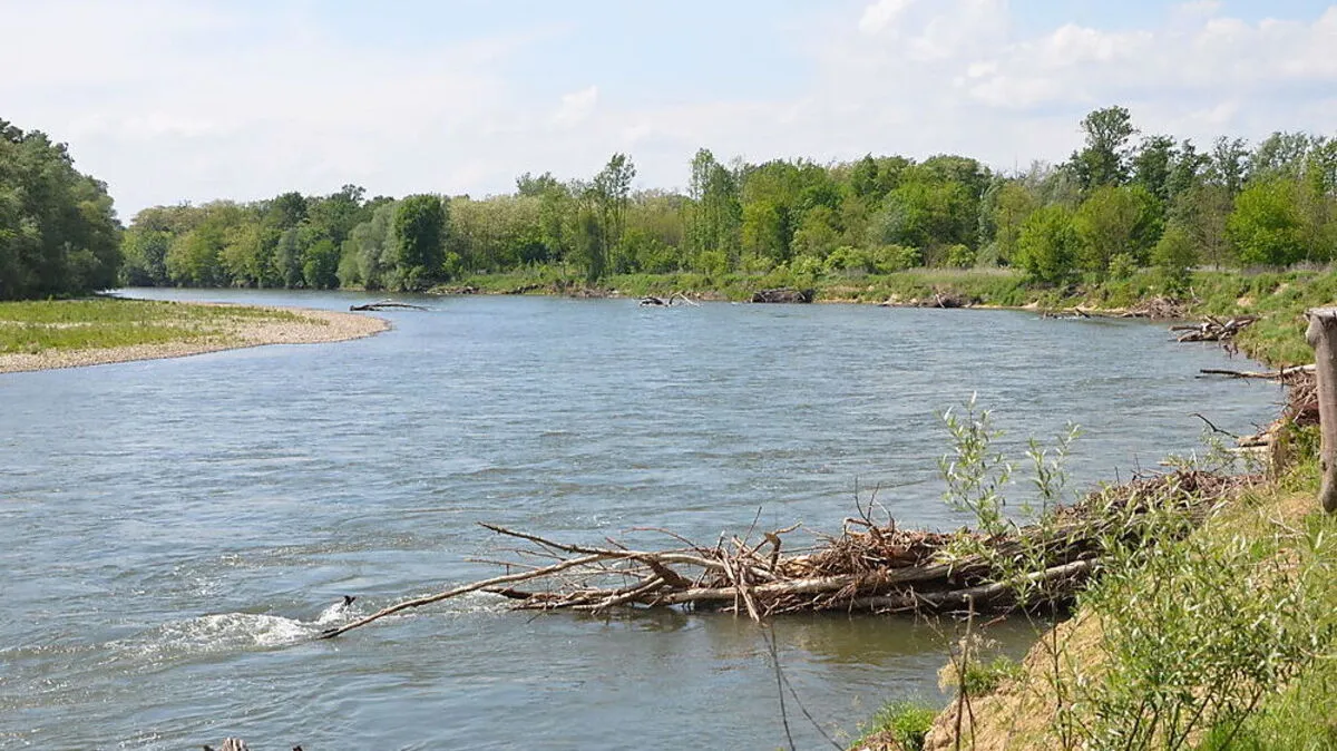 Die Muraufweitung in Sicheldorf