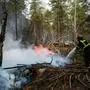 Waldbrand bei Fontainebleau südlich von Paris – Klimaerwärmung trifft auf Fahrlässigkeit und Böswilligkeit