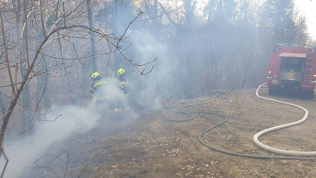 Die Feuerwehr benötigte 25.000 Liter Wasser, um den Brand zu löschen