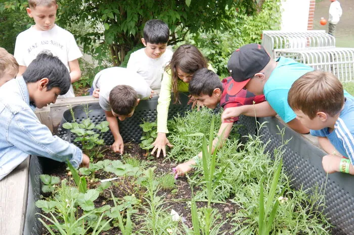 Es gab ein dichtes Programm: grillen, eine Zaubershow mit Magic Jay, Livemusik und Spielestationen im Garten. Mit dabei waren auch Lehrer und viele Eltern, die das Fest mitgestalteten.