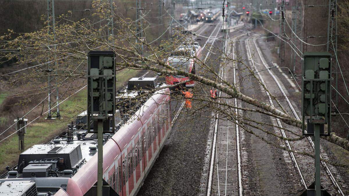 Nordrhein-Westfalen, Dormagen: Ein umgestürzter Baum liegt auf einer Oberleitung einer Bahnstrecke bei Dormagen - nach Sturmtief &quot;Eberhard&quot; müssen Bahnreisende in Nordrhein-Westfalen am Montag weiter mit Einschränkungen, Ausfällen und verspäteten Zügen rechnen