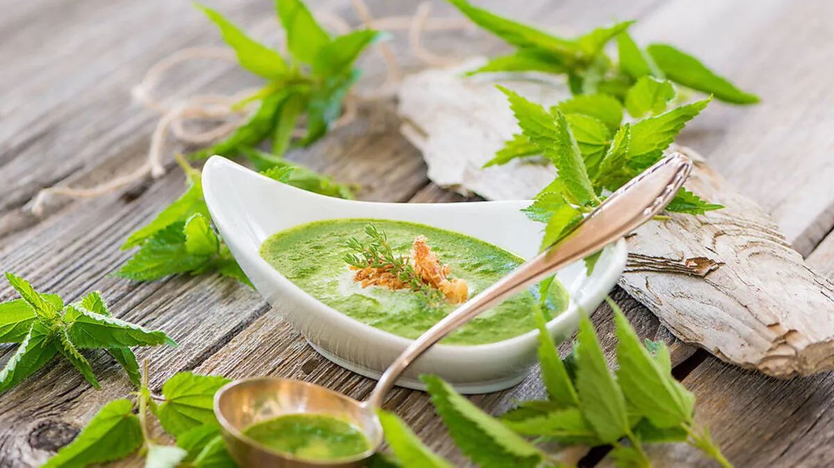 Köstlich: junge Brennnesselspitzen in Suppenform mit Bärlauch- oder Kren/Wasabiwürze