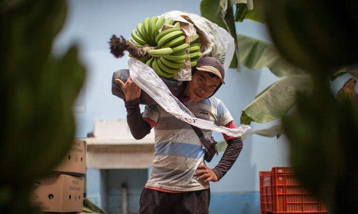 Ab Juli gelten neue Entlohnungs-Regeln auf Fairtrade-Plantagen