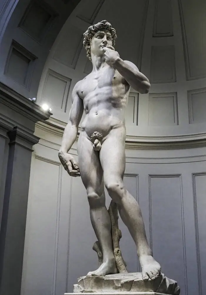 Nichts ist perfekt - selbst der David von Michelangelo hat einen kleinen Schönheitsfehler auf dem Rücken.