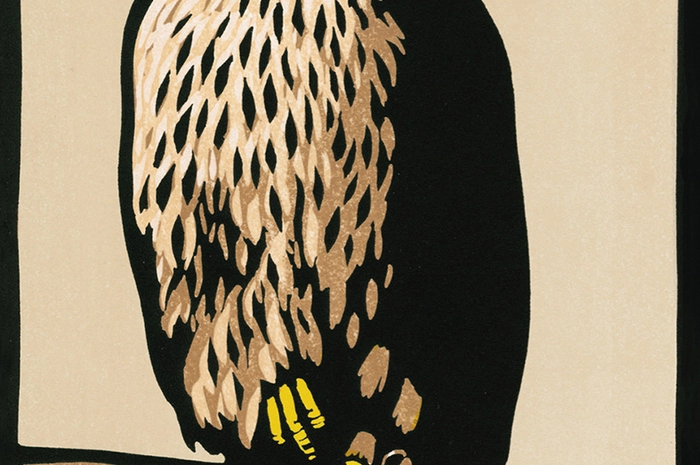 Legendär unzähmbar. Wie gemacht für Herbsttage ist das Buch „H wie Habicht“ von Helen MacDonald. Trauer überden Tod, Greifvögel und Naturschilderungen führen unsauf eine Art Reise in die Unterwelt und zurück – mit einemHabicht als spirituellen Führer.