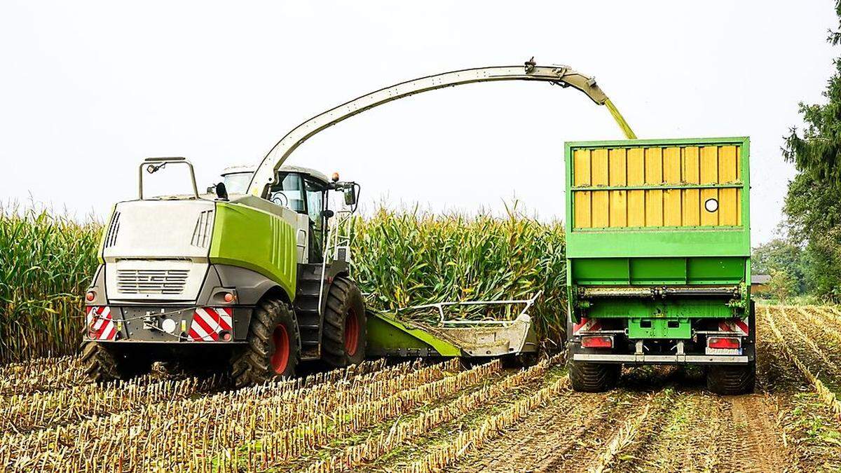 Auf 55 Prozent der Ackerfläche wird in Österreich Kraftfutter angebaut