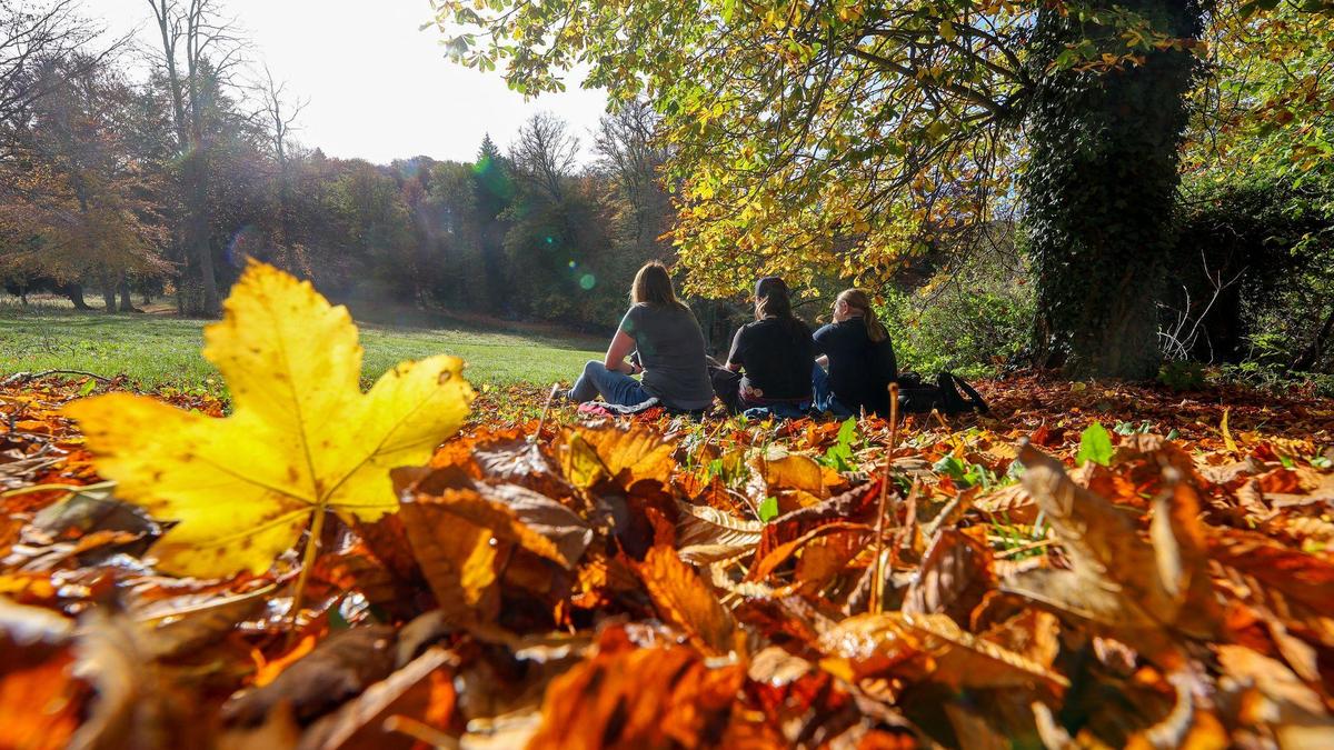 Der „Altweibersommer“ brachte einige sonnige Tage nach Kärnten