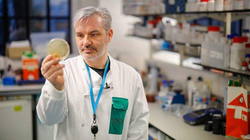 Doktor Paul McKay forscht an einem Impfstoff gegen das Coronavirus