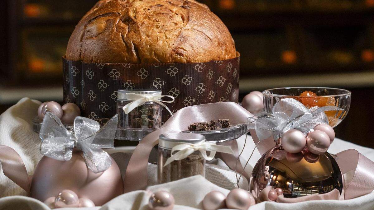 Der Insekten Panettone steht für Weihnachten bereit