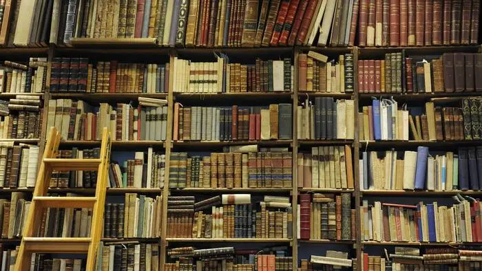 Eine Bibliothek in Rom. Diese Bücher sind vermutlich von Menschenhand verfasst