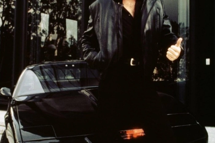 Der "Baywatch"-Star spielte den Verbrecherjäger Michael Knight, der von seinem Wunderauto, einem Pontiac Trans AM, unterstützt wurde.