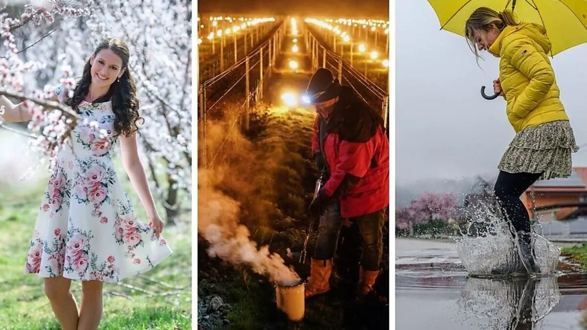 Von Frankreich bis zur Wachau heizen Obstbauern schon gegen den Frost an, in der Steiermark wird’s erst richtig spannend