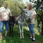 Ulrich und Elke Kettner mit den beiden Eseln Benjamin und Emmerich (r.)