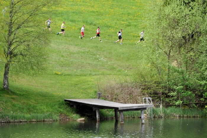 Ausgetragen wurden die Landesmeisterschaften der Steirischen und der Kärntner Polizei, es gab außerdem eine Gästeklasse. Die Polizeisportler aus Steiermark, Kärnten Salzburg und Wien absolvierten eine Laufstrecke von 3,6 Kilometern.