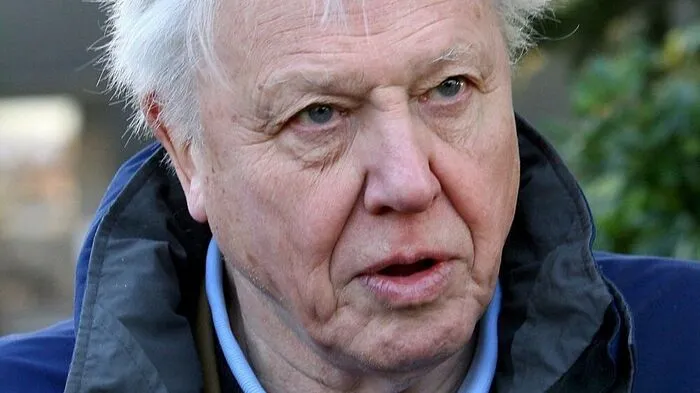 Erstmals trägt auch ein Amphibium den Namen des britischen Tierfilmers David Attenborough.