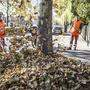 Immer mehr Städte und Gemeinden setzen auf die Hilfe von Laubbläsern