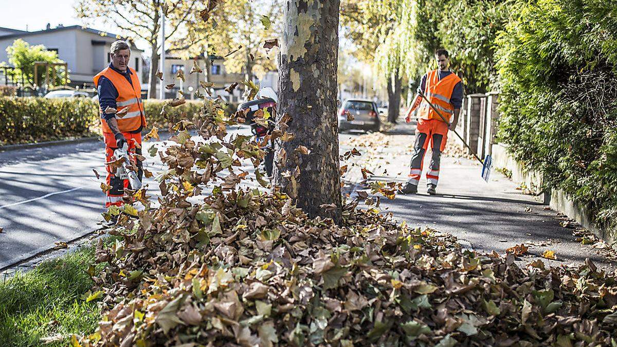 Immer mehr Städte und Gemeinden setzen auf die Hilfe von Laubbläsern