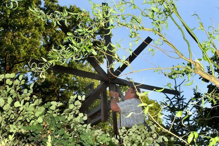 Rund um das Klapotetz-Aufstellen gibt es im Buschenschank Eberhart ein Fest bei dem auch viele Weisenbläser zusammentreffen