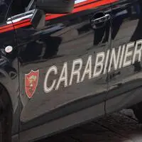Ungewöhnlicher Fall für die Carabinieri (Symbolbild)
