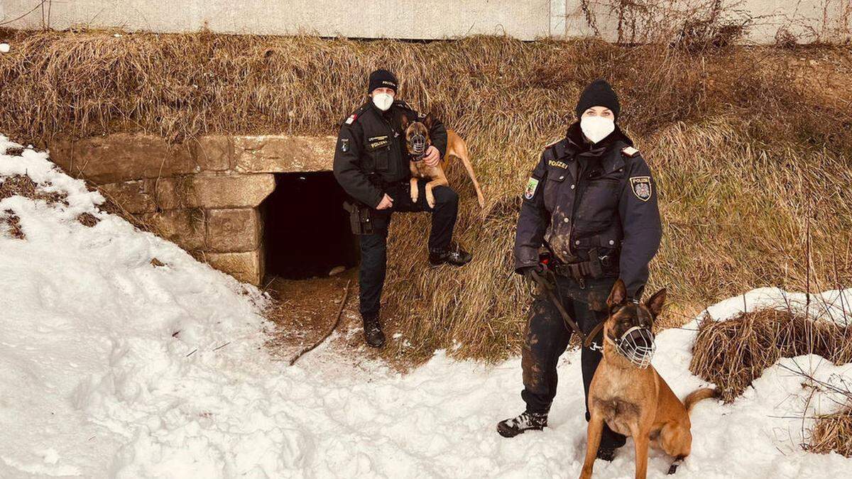 In diesem &quot;Tunnel&quot; wurde der Vermisste gefunden, die Polizeihunde Dakar und Luke halfen bei der Suche
