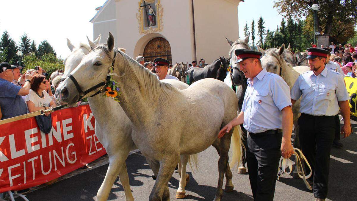 Aufgrund der Corona-Pandemie findet der Lipizzaner-Almabtrieb 2020 nicht statt