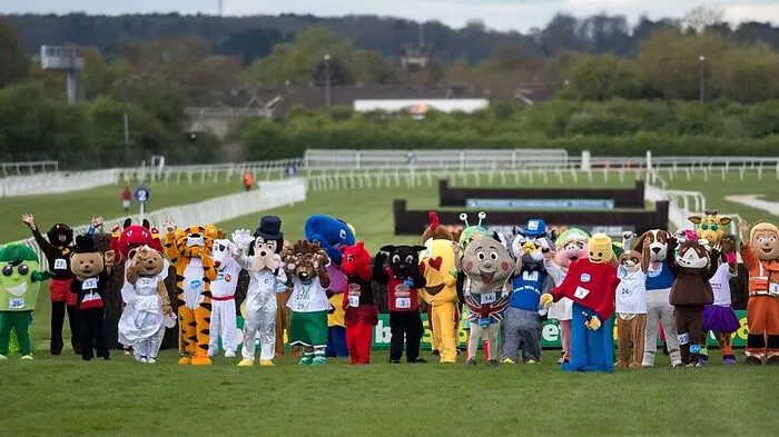 Bereit zum Start: Das Rennen der Maskottchen ging gestern auf dem Rennkurs von Wetherby im Norden Englands zum 13. Mal über die Strecke.