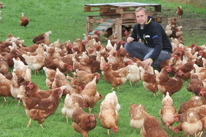Martin Gabriel aus Irdning führt eine Hühnerfarm und einen Hofladen: Eigentlich bin ich in der Versicherungsbranche tätig. Ich betreibe nun aber auch seit ein paar Monaten hinter der Gärtnerei Pranzl in Irdning eine mobile Freilandhaltung, bei der 300 Hühner über das ganze Jahr hinweg auf einer großen Wiese mit mobilem Stall untergebracht sind. Die frischen Freilandeier, die die Hühner täglich legen, werden direkt in einem eigenen Hofladen neben der „Hühnerfarm“ verkauft. Der Hofladen hat dabei täglich von 0 bis 24 Uhr geöffnet. Jedermann und jede Frau kann sich somit rund um die Uhr frische Freilandeier bei uns holen. Das Geld wird eingeworfen, alles basiert auf Vertrauen. Neben den Eiern der hauseigenen Hühner bieten wir zudem auch weitere regionale Produkte wie Milch, Joghurt, Topfen, eingelegten Käse, Erdbeermolke, Frischkäse mit Kräutern oder Pfeffer sowie Kernöl und Käferbohnen an: rund um die Uhr.