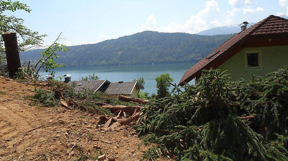 Zwischen dem Ortsteil Lechnerschaft und Millstatt werden bis Ende August 2,5 Hektar Wald geschlägert