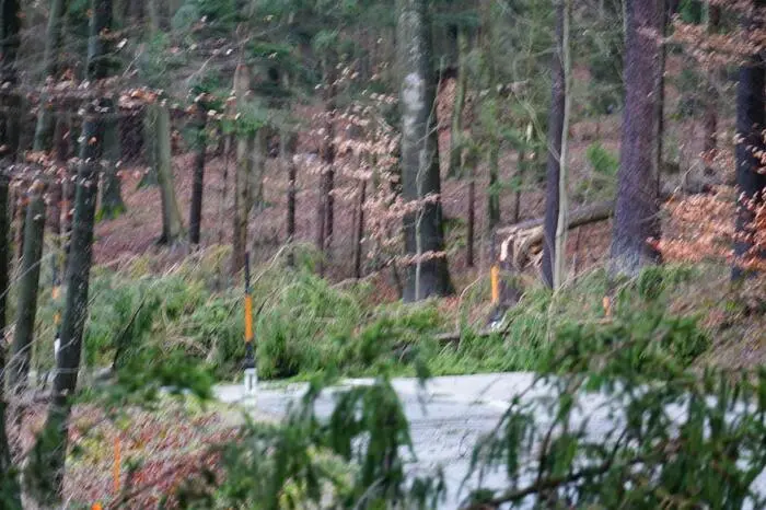 Im Raum Mank kam es zu Strassensperren aufgrund umgestürzter Bäume.