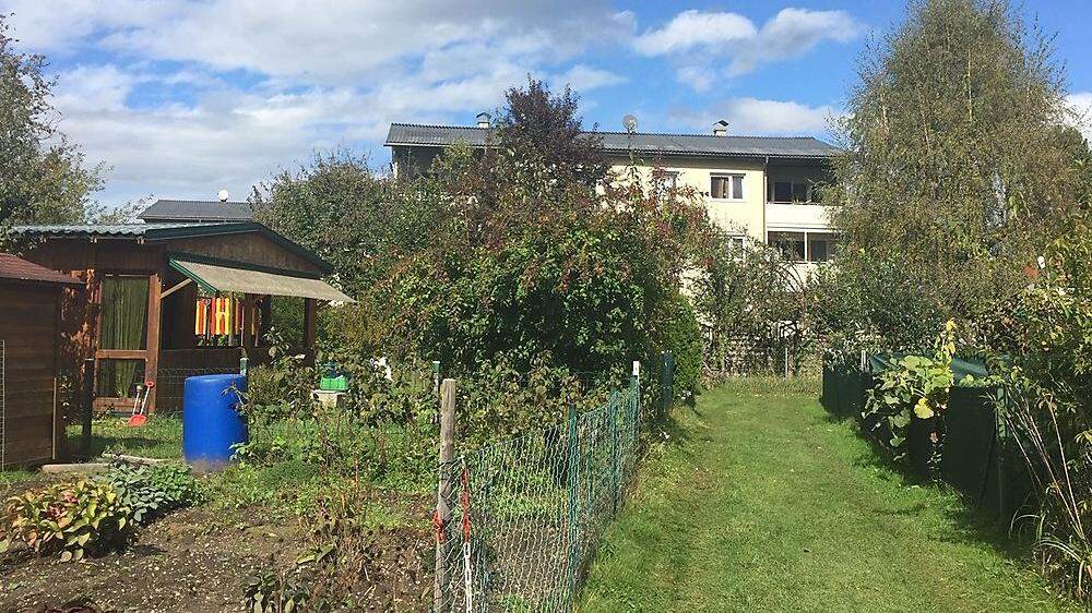 Jahrzehntelang haben die vielen Kleingärtner in der ÖBB-Anlage ihre Gärten gepflegt und gehegt