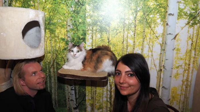 Das Katzenkaffeehaus " cat´n´coffee " in der Paulitschgasse in Klagenfurt ist ein Jahr alt geworden. Am Mittwoch wurde mit einer Zaubershow von Mentalist Alex Ray gefeiert.