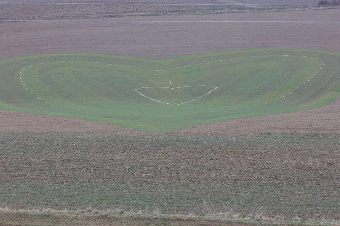 Das Ziel für die Golfer: Ein auf einer Wiese eingesätes Herz  in 116 Meter Entfernung.