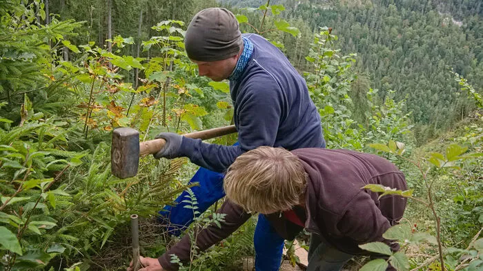 Eindrücke von den Arbeiten am Wanderweg auf der Falkensteinalm